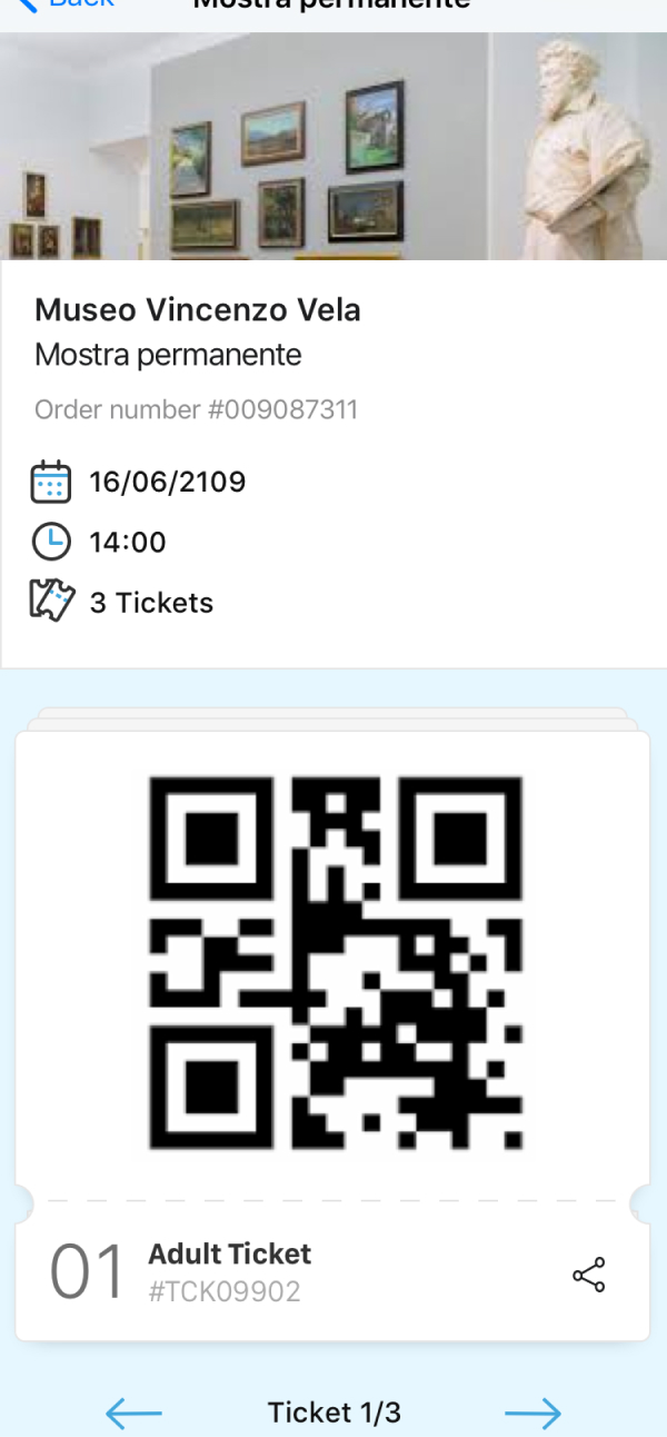 Project screen image